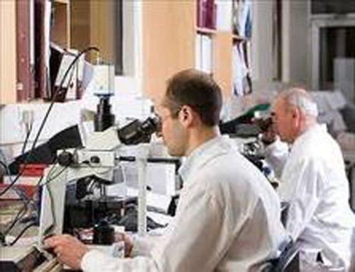 TEPAV "Beyin Havuzu" Oluşturulmasını Önerdi