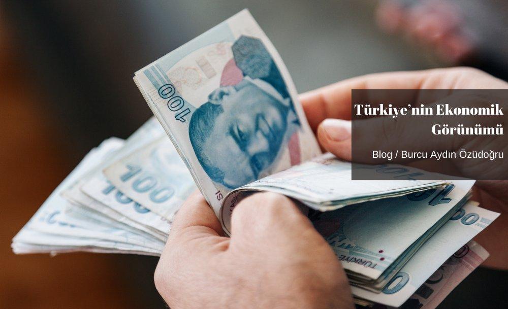 Türkiye’nin Ekonomik Görünümü