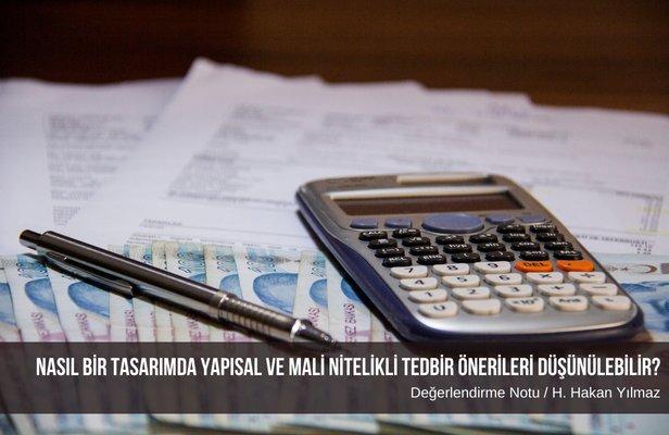 Nasıl bir tasarımda yapısal ve mali nitelikli tedbir önerileri düşünülebilir?