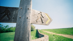 Yol ayrımında…...