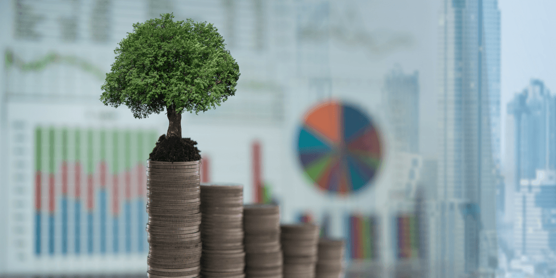İklim finansmanında merkez bankaları ne yapabilir?