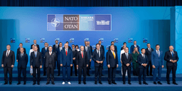 Ankara NATO Summit: From Diplomatic Visibility to ...