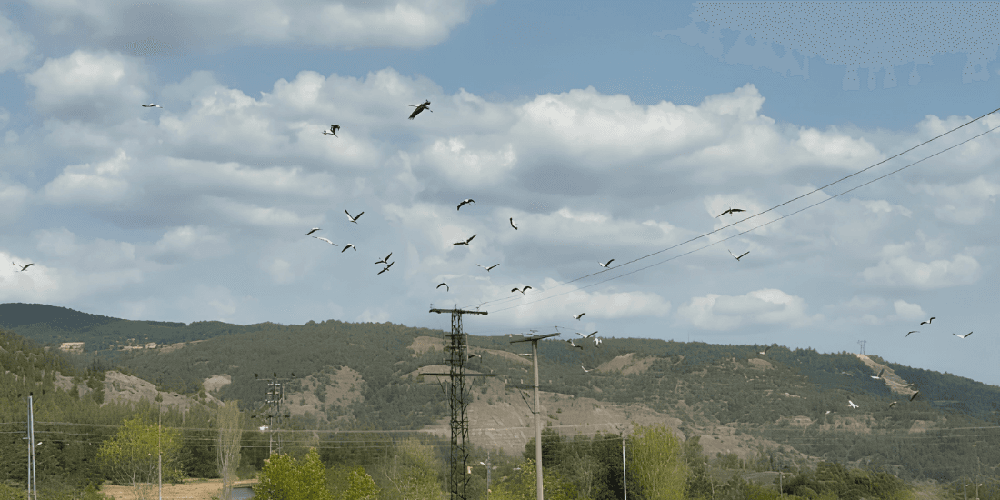 Elektrik altyapısı yatırımlarında Rio sinerjisi gözetilmeli